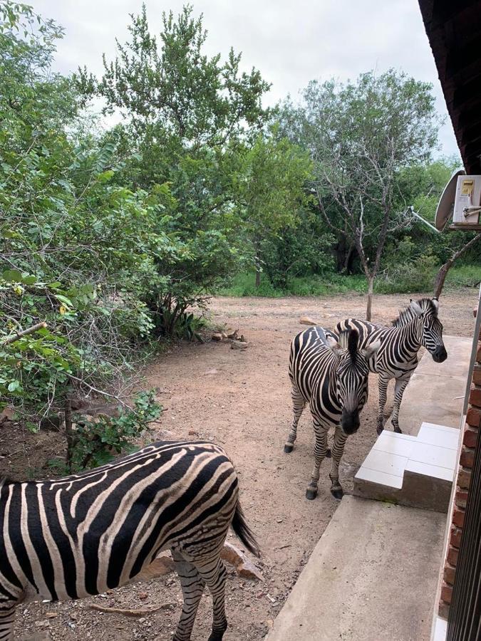 Umhlanga Kruger Apartment Marloth Park