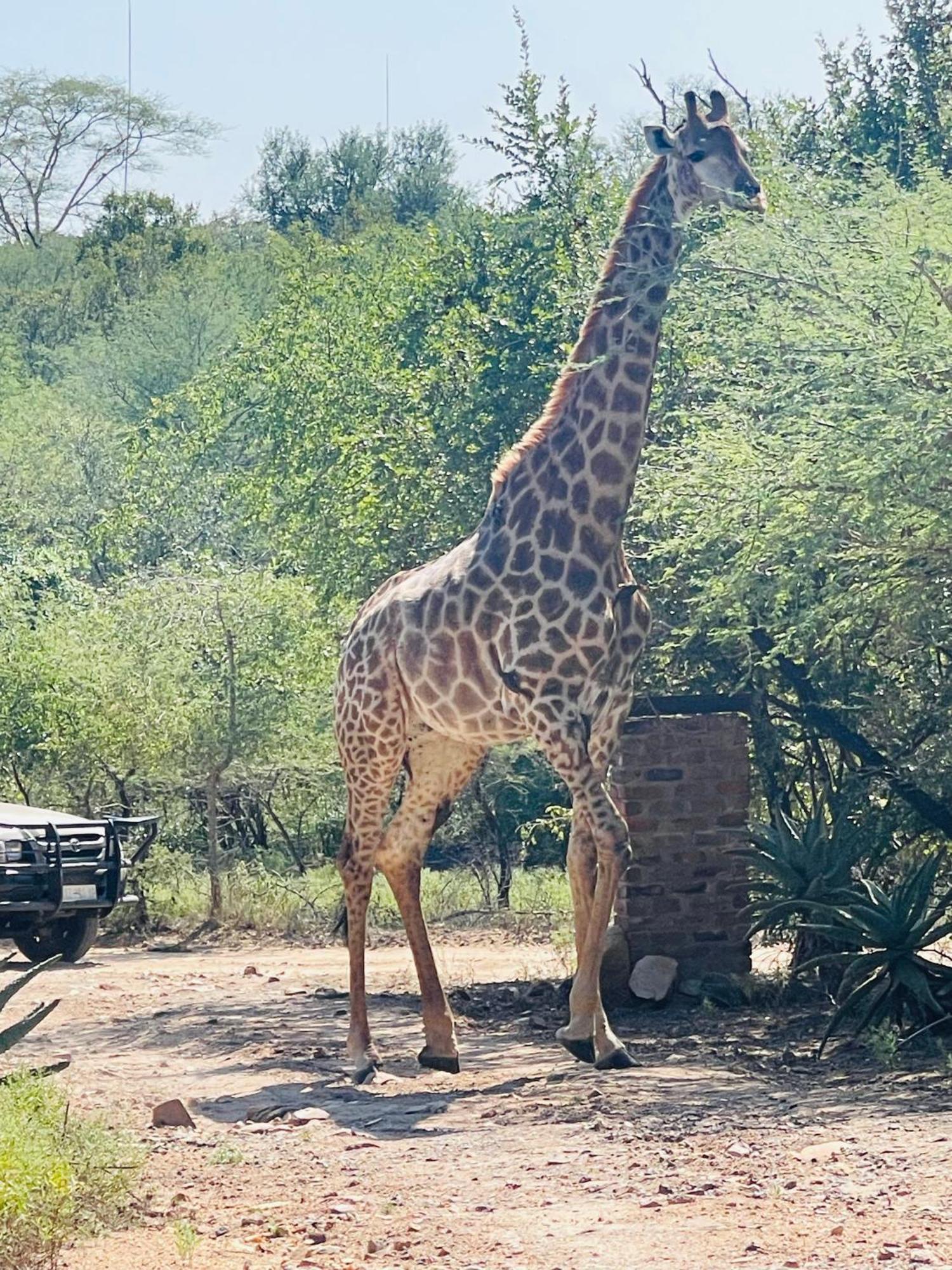 Umhlanga Kruger *